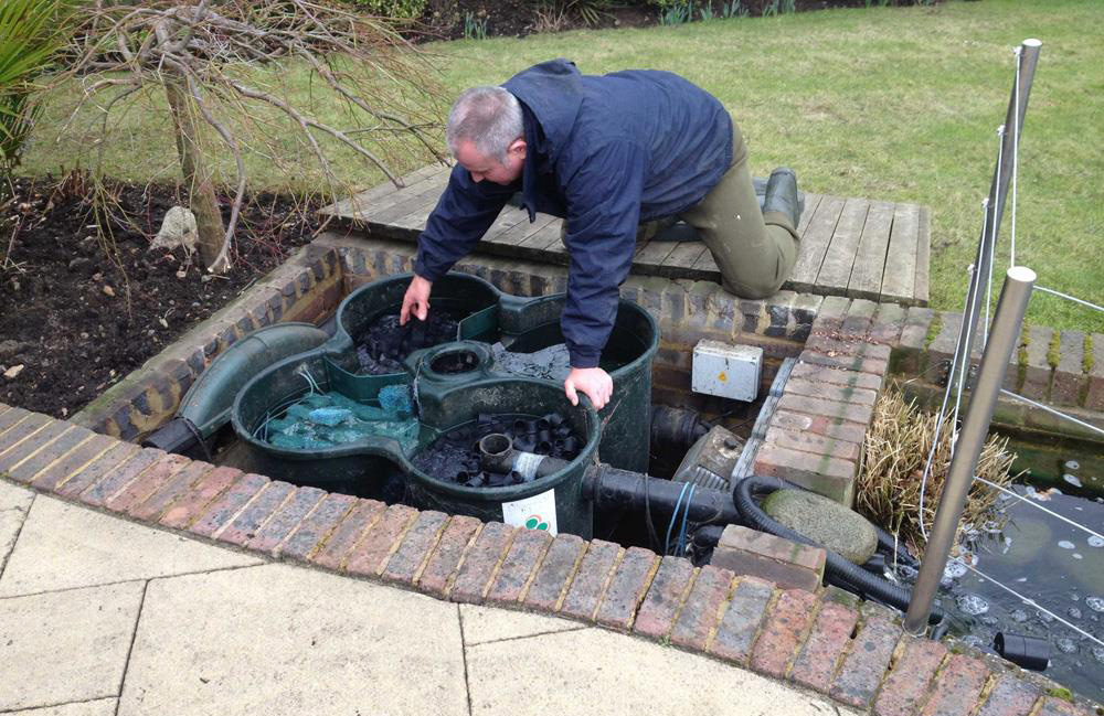 Pond Maintenance