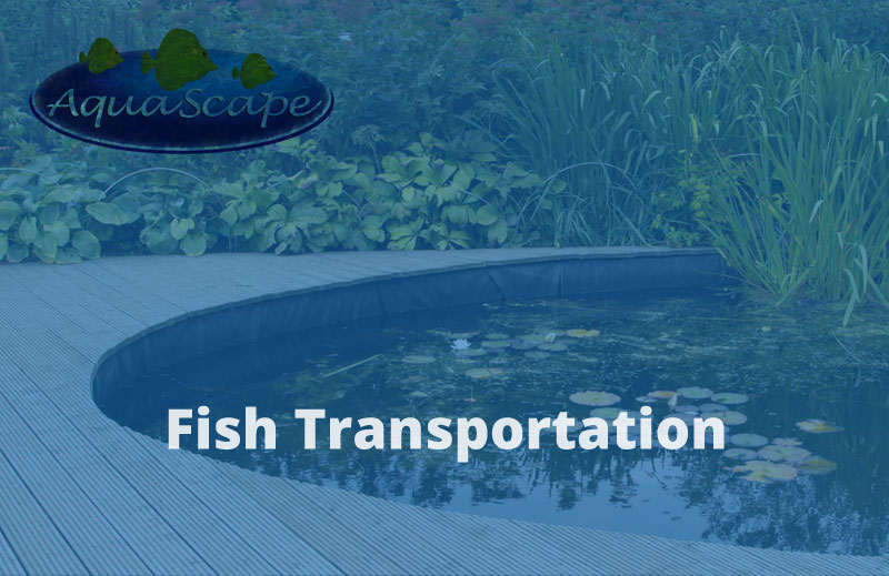 Fish Transportation Services