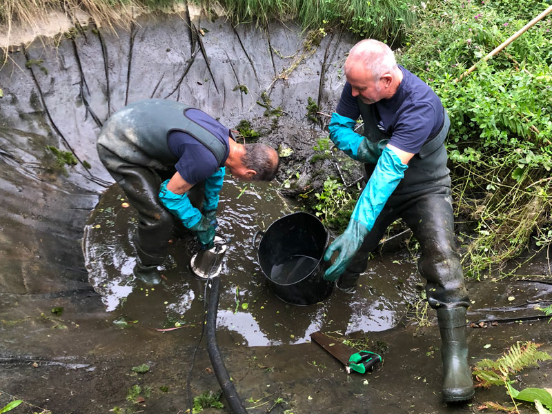 Pond Cleaning Company & Services