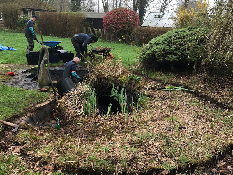 Pond Construction