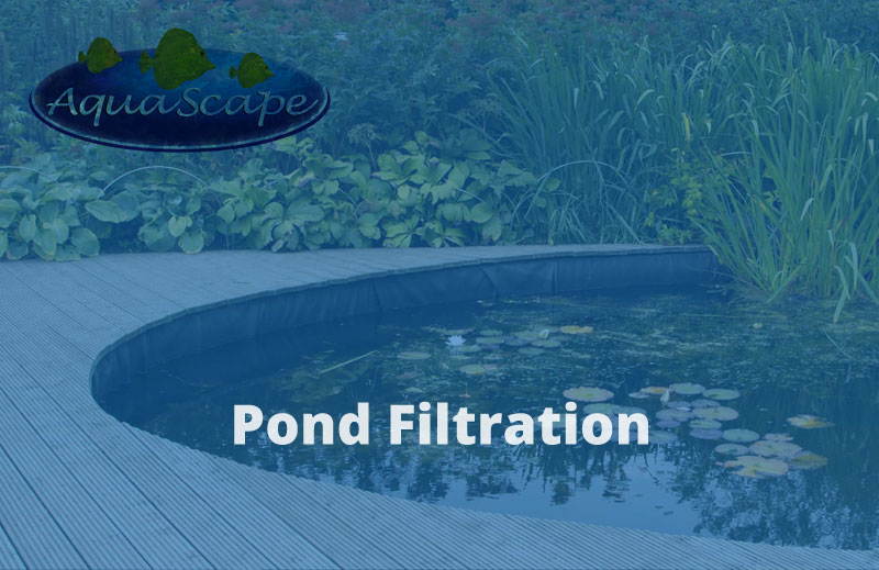 Pond Filtration