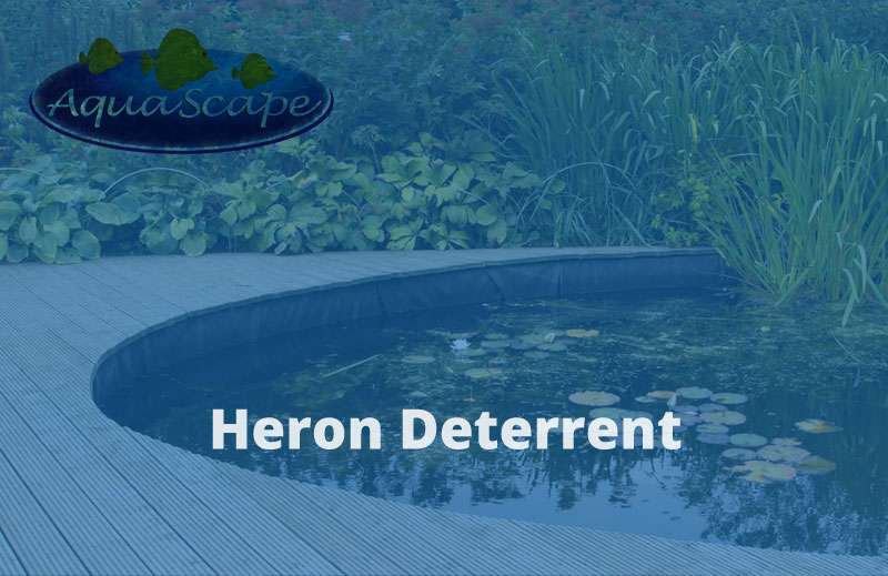 Heron Deterrent