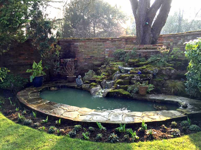 Pond Ideas