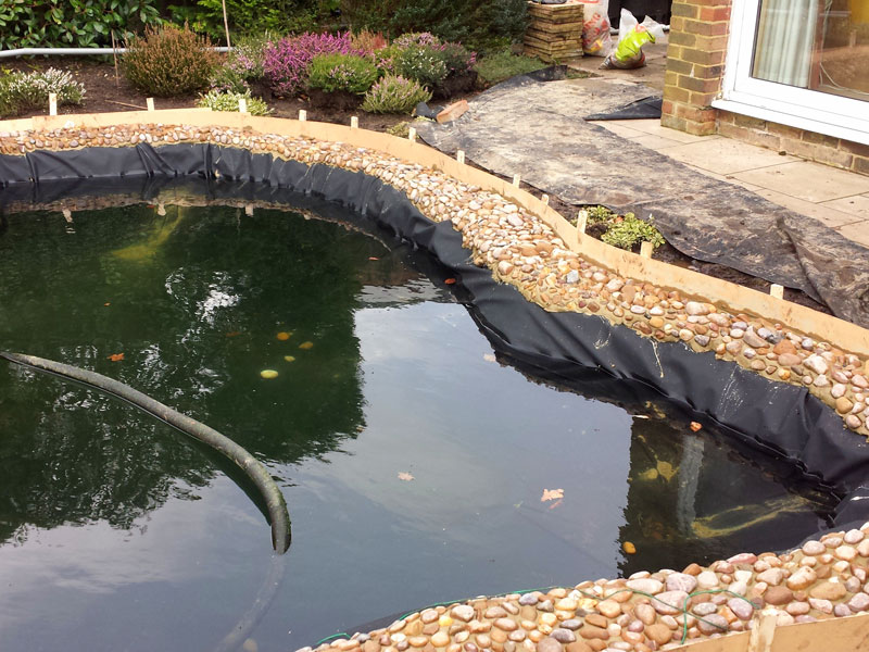 Pond Ideas