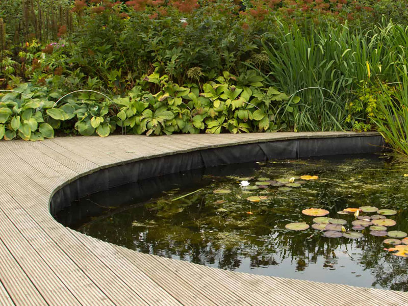 Pond Ideas