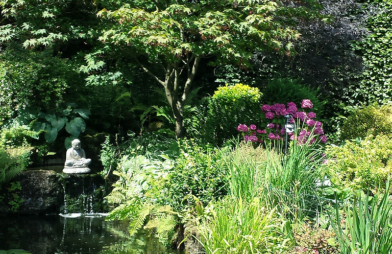 Pond Ideas Company in Surrey, Sussex and Kent