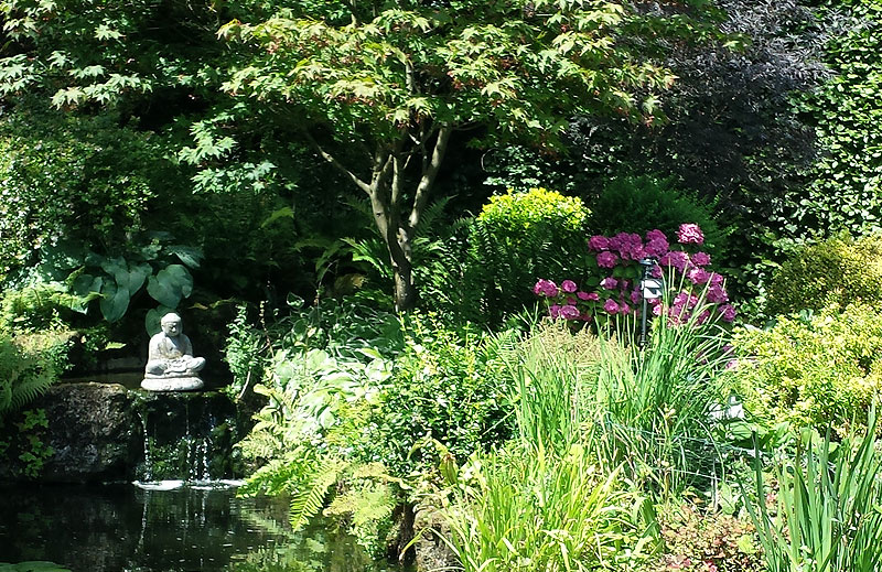 Pond Ideas Company in Surrey, Sussex and Kent