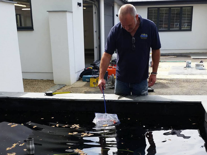 Pond Maintenance