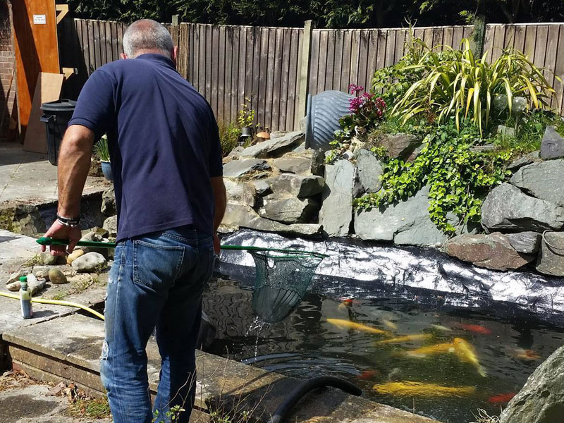 Pond Maintenance