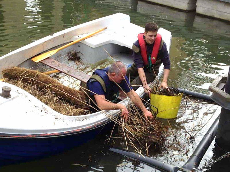 Pond Maintenance