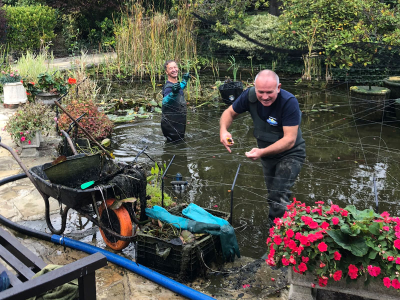 Pond Maintenance