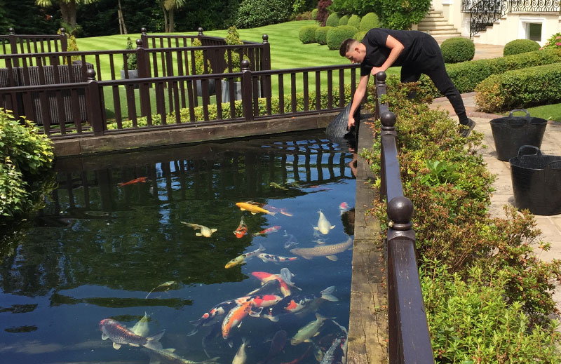 Pond Maintenance