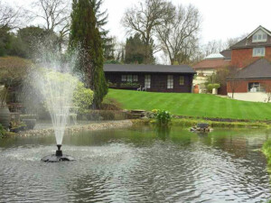 Pond Ideas